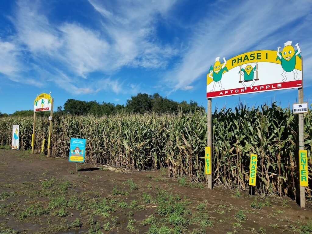 Afton Apple Orchard corn maze entrance