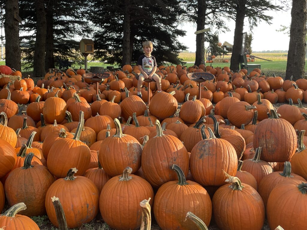 Barten Pumpkins kid in sea of pumpkins