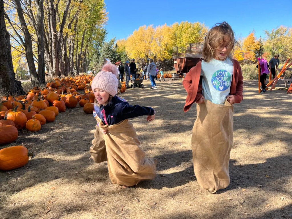 Barten Pumpkins kids playing in sacks