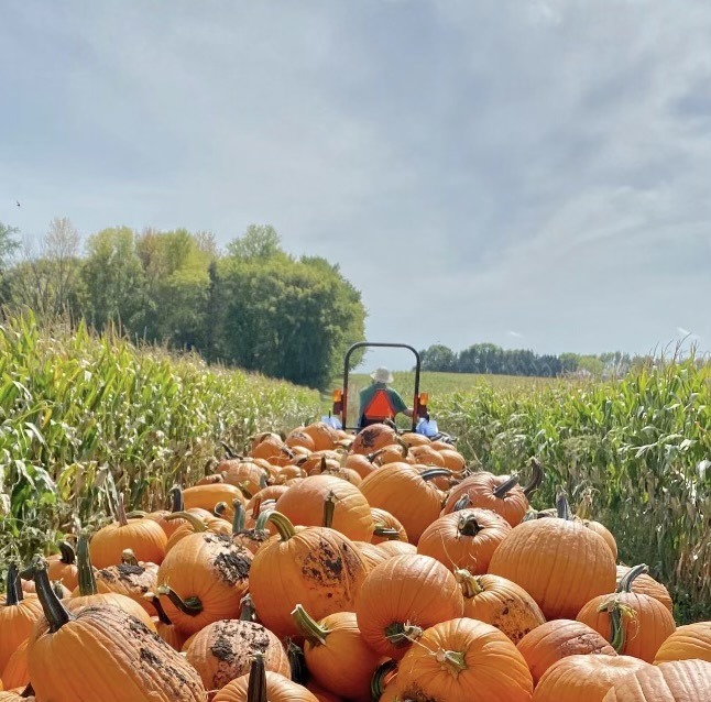 Barten Pumpkins tractor load