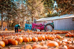 Pinehaven Patch with Tractors