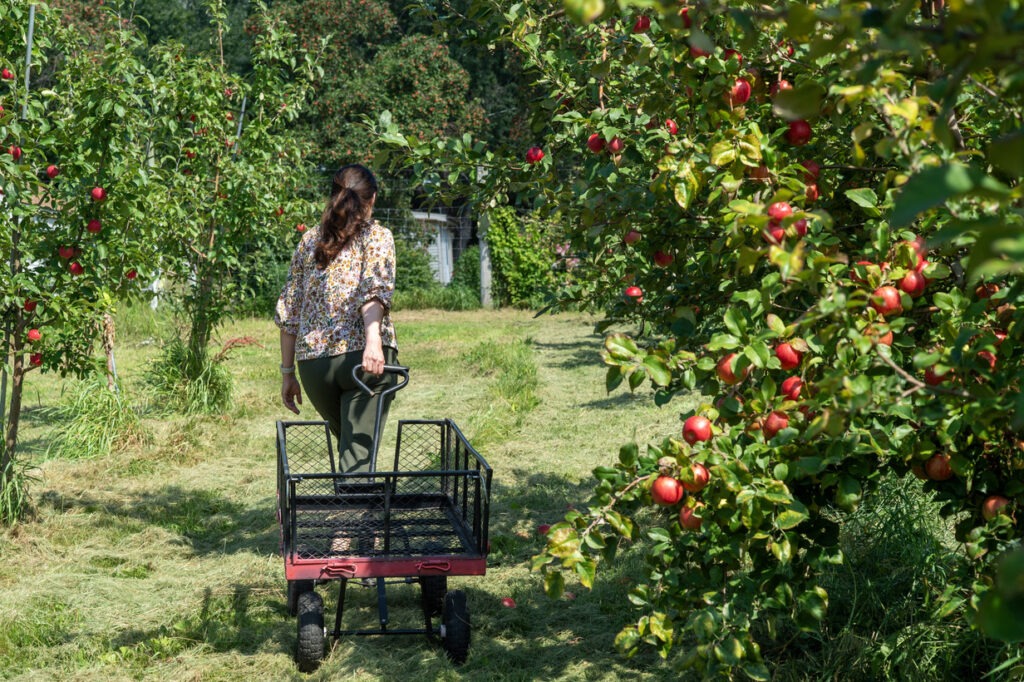 Sekapp Orchard, photo submitted by Experience Rochester