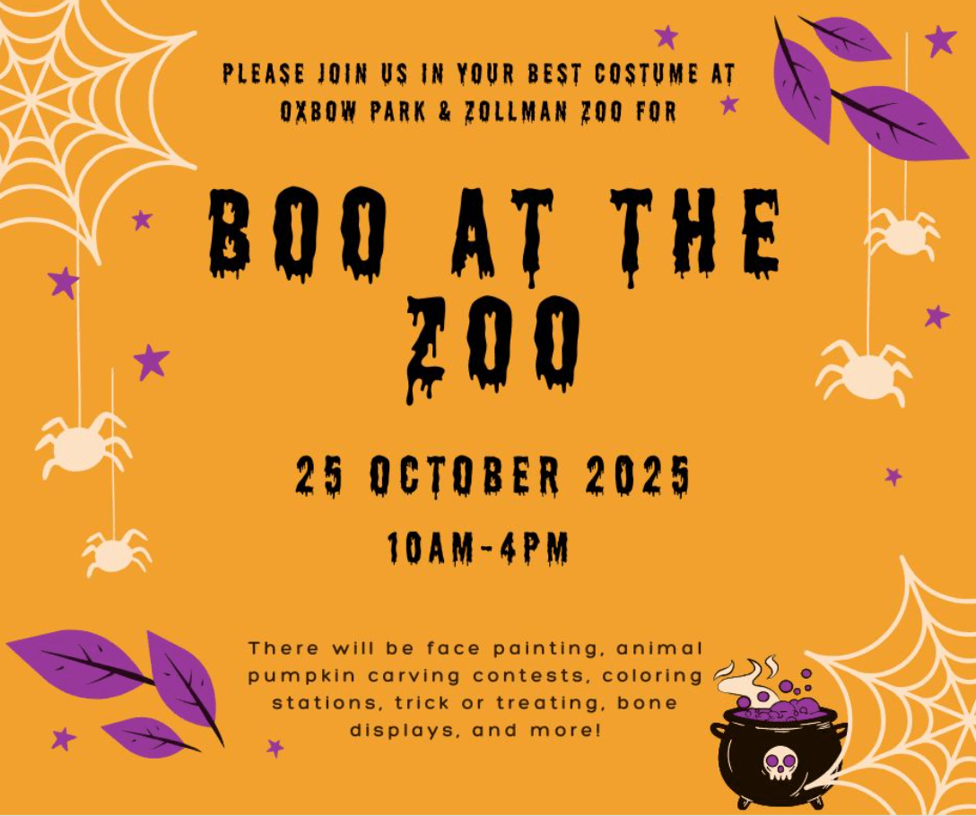 Minnesota Family Magazine